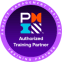 PMI Logo
