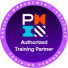 PMI Logo